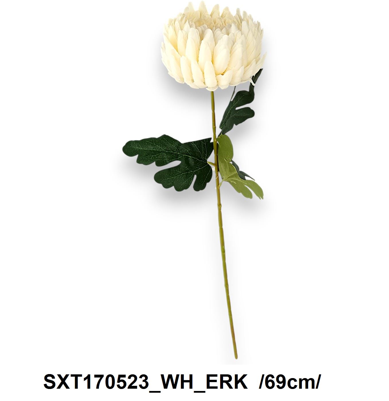 SXT170523_WH_ERK