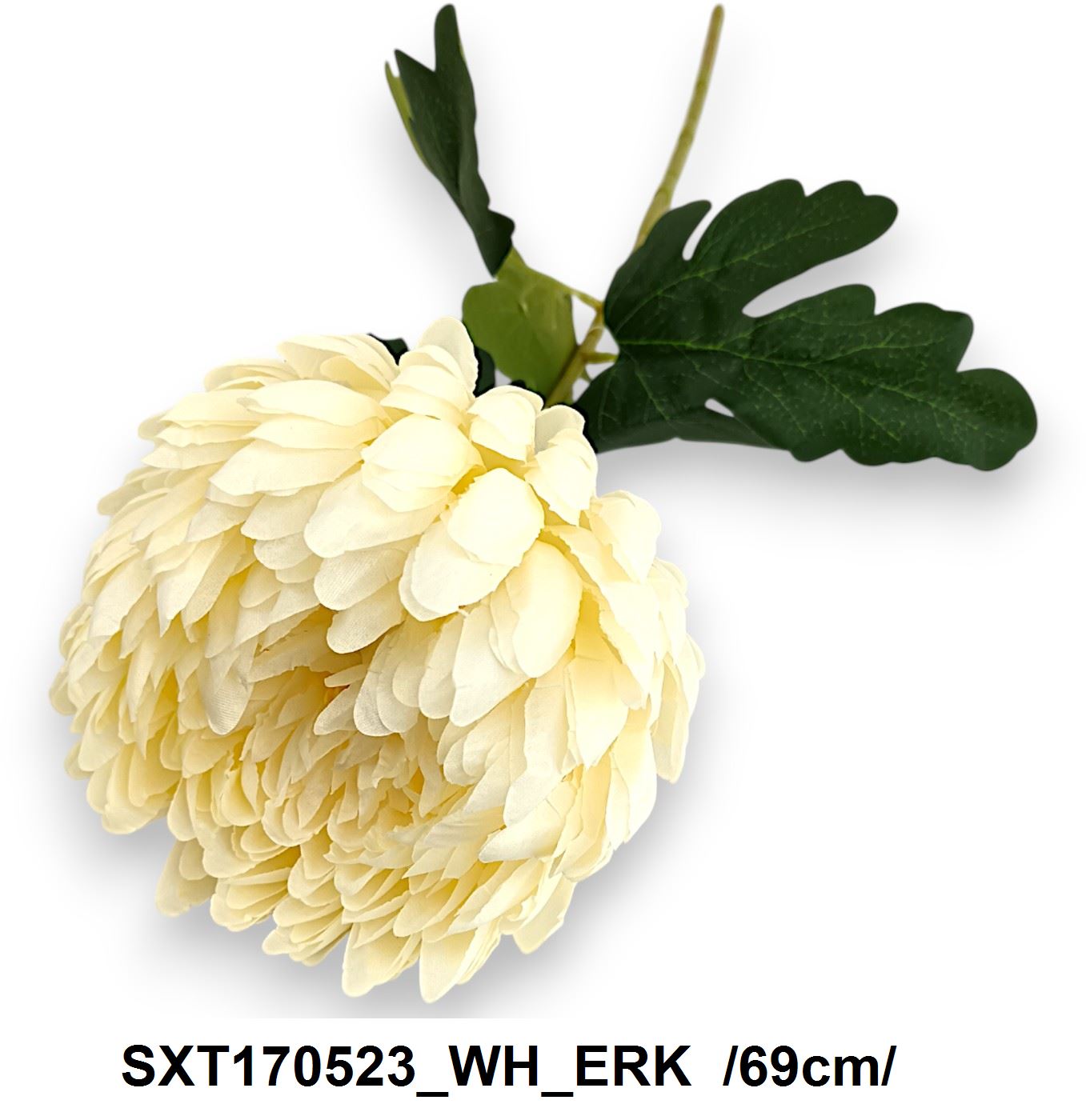 SXT170523_WH_ERK
