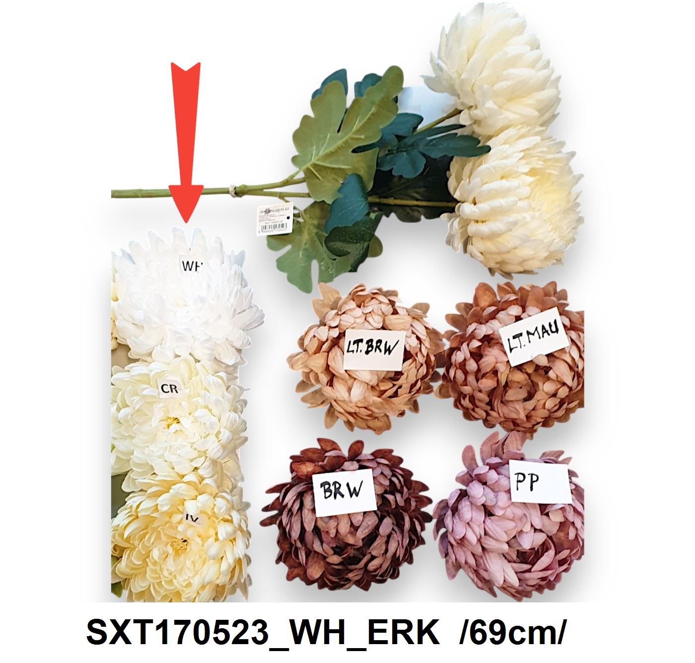 SXT170523_WH_ERK