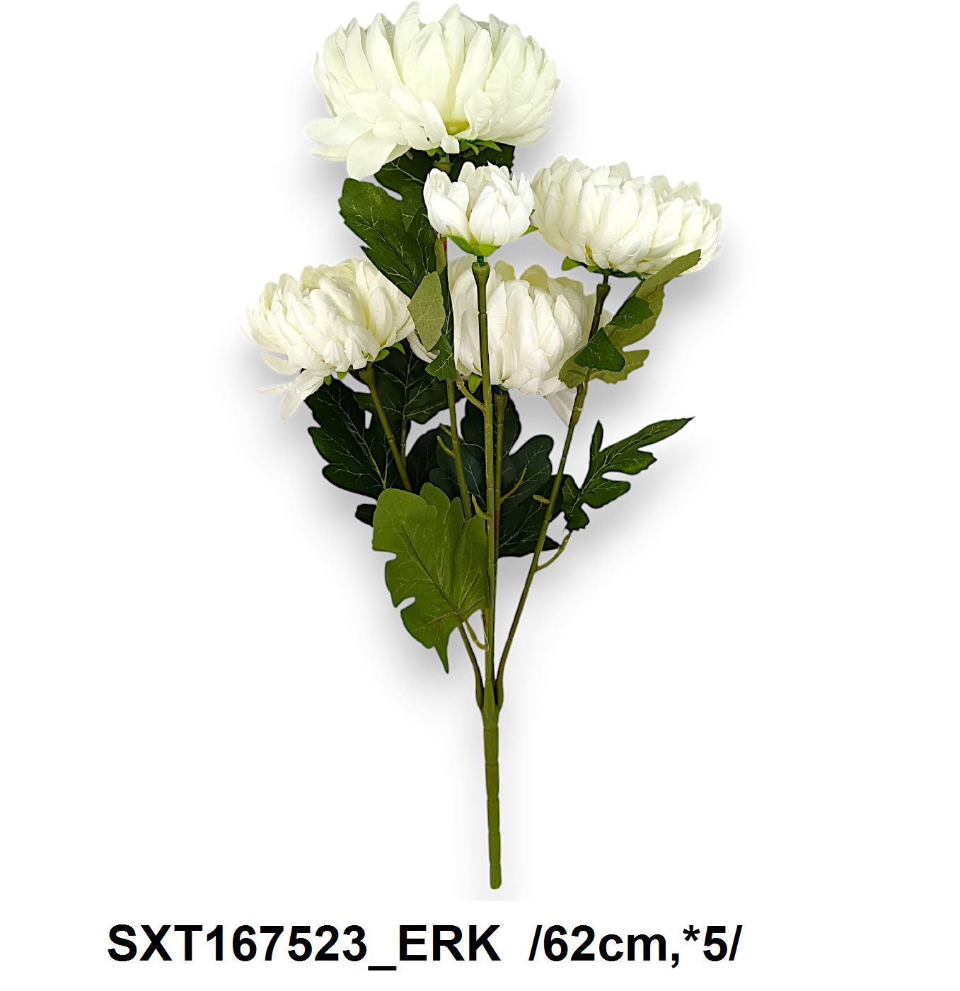 SXT167523_ERK
