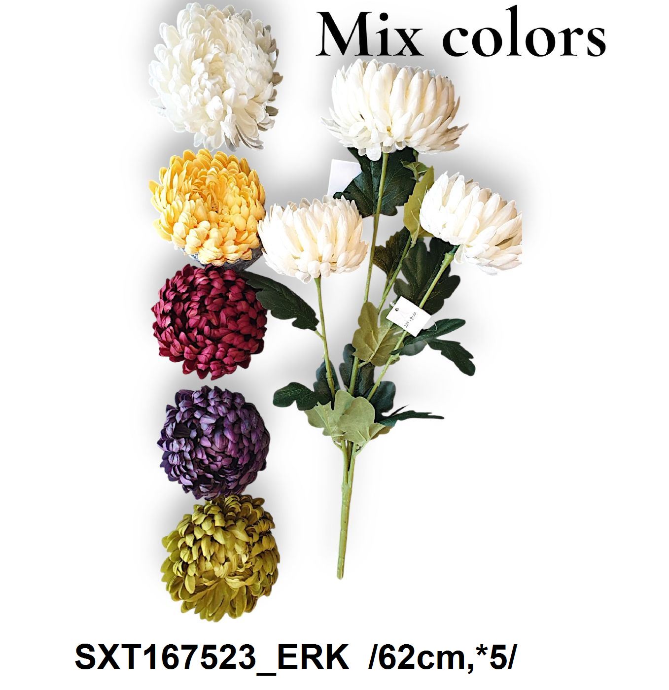 SXT167523_ERK