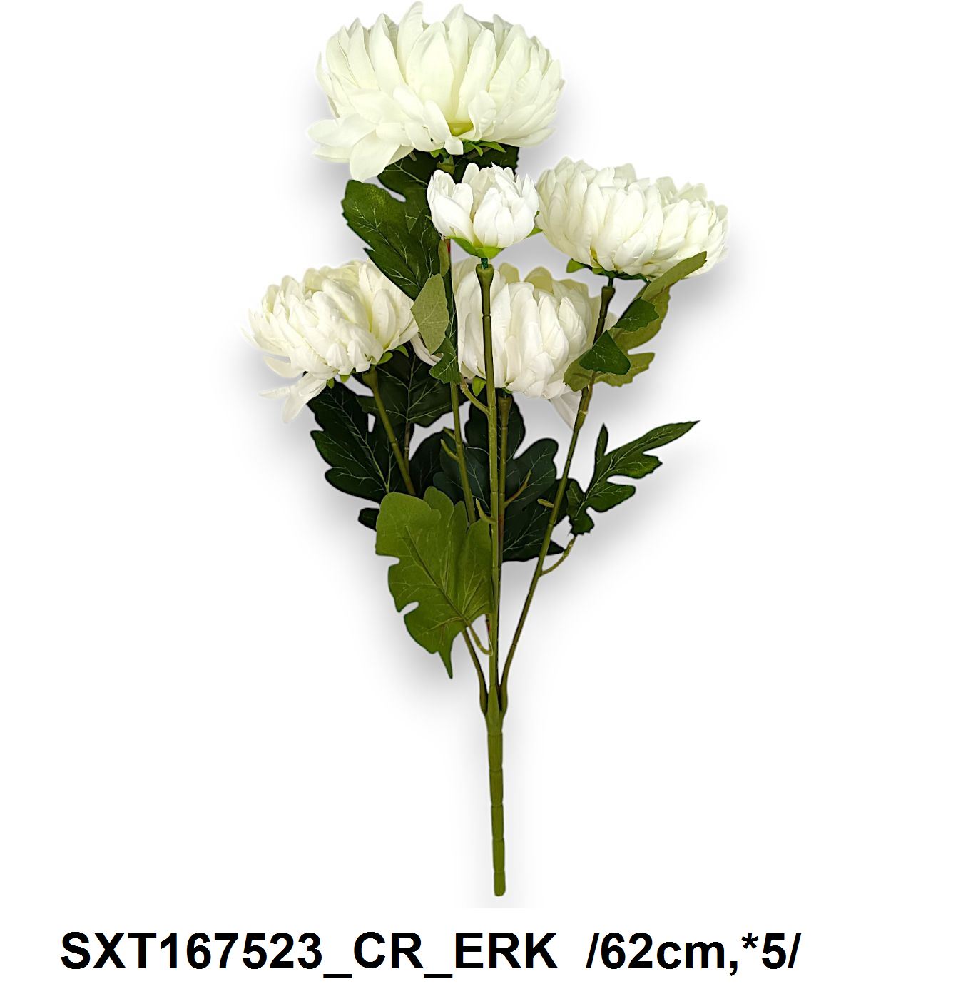 SXT167523_CR_ERK