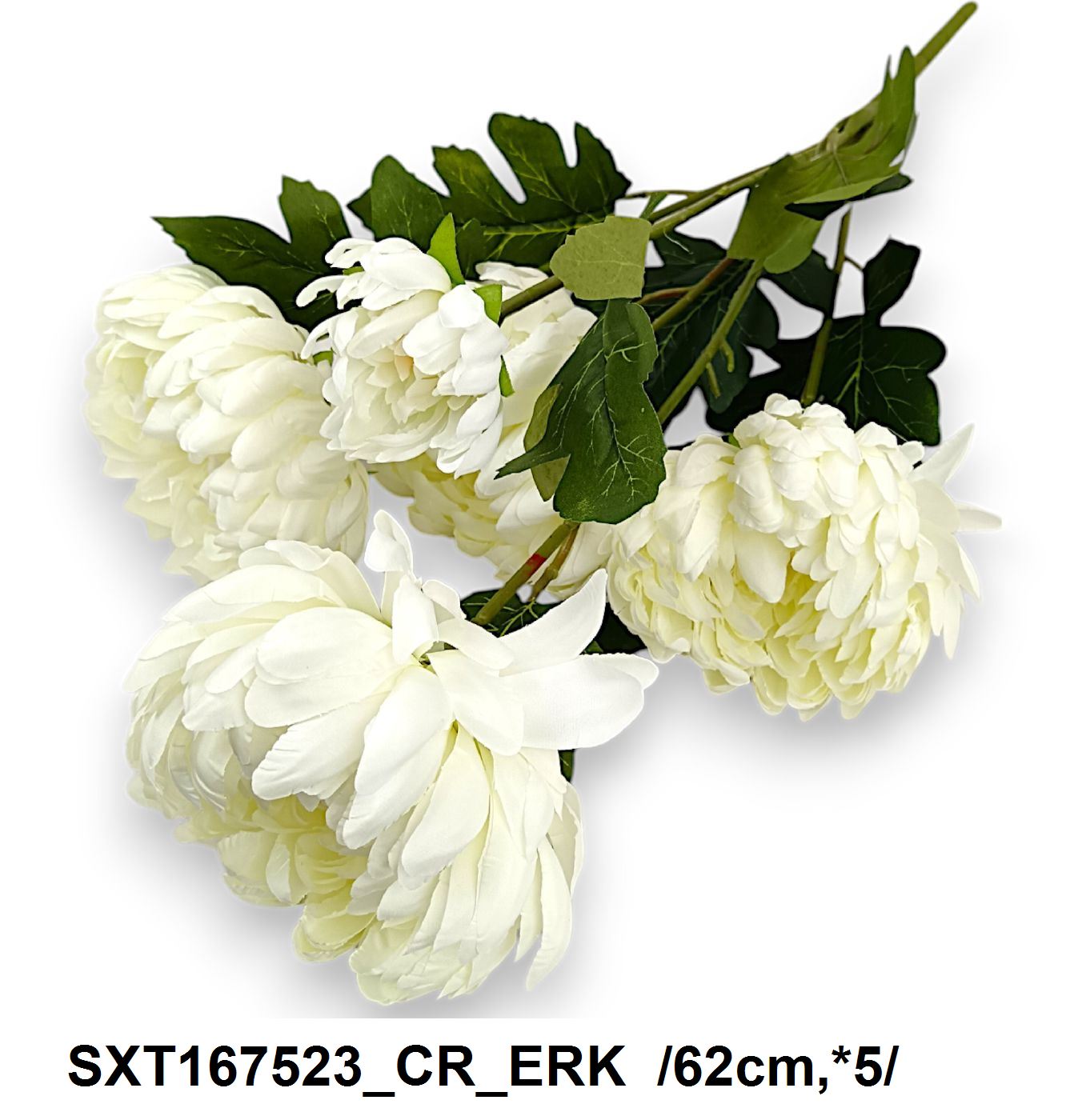 SXT167523_CR_ERK