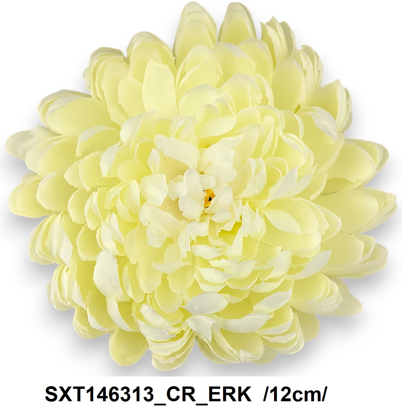 SXT146313_CR_ERK