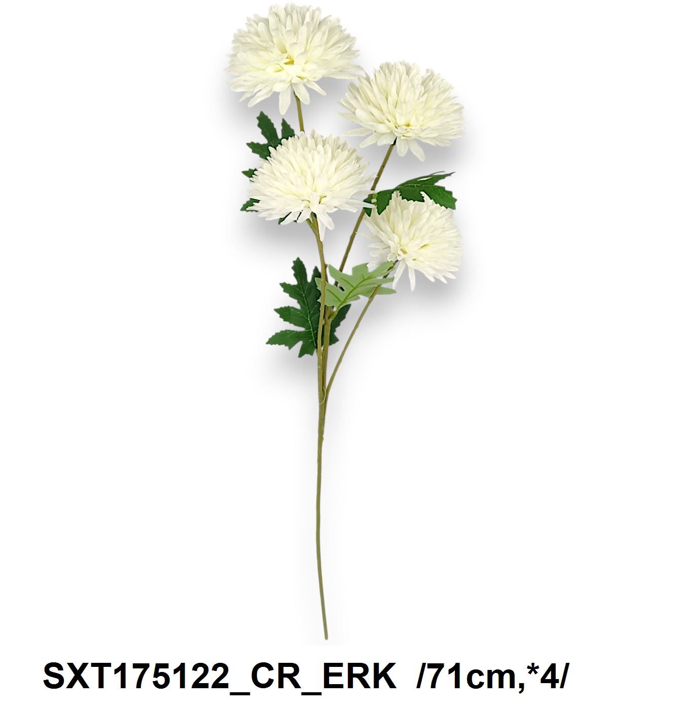 SXT175122_CR_ERK