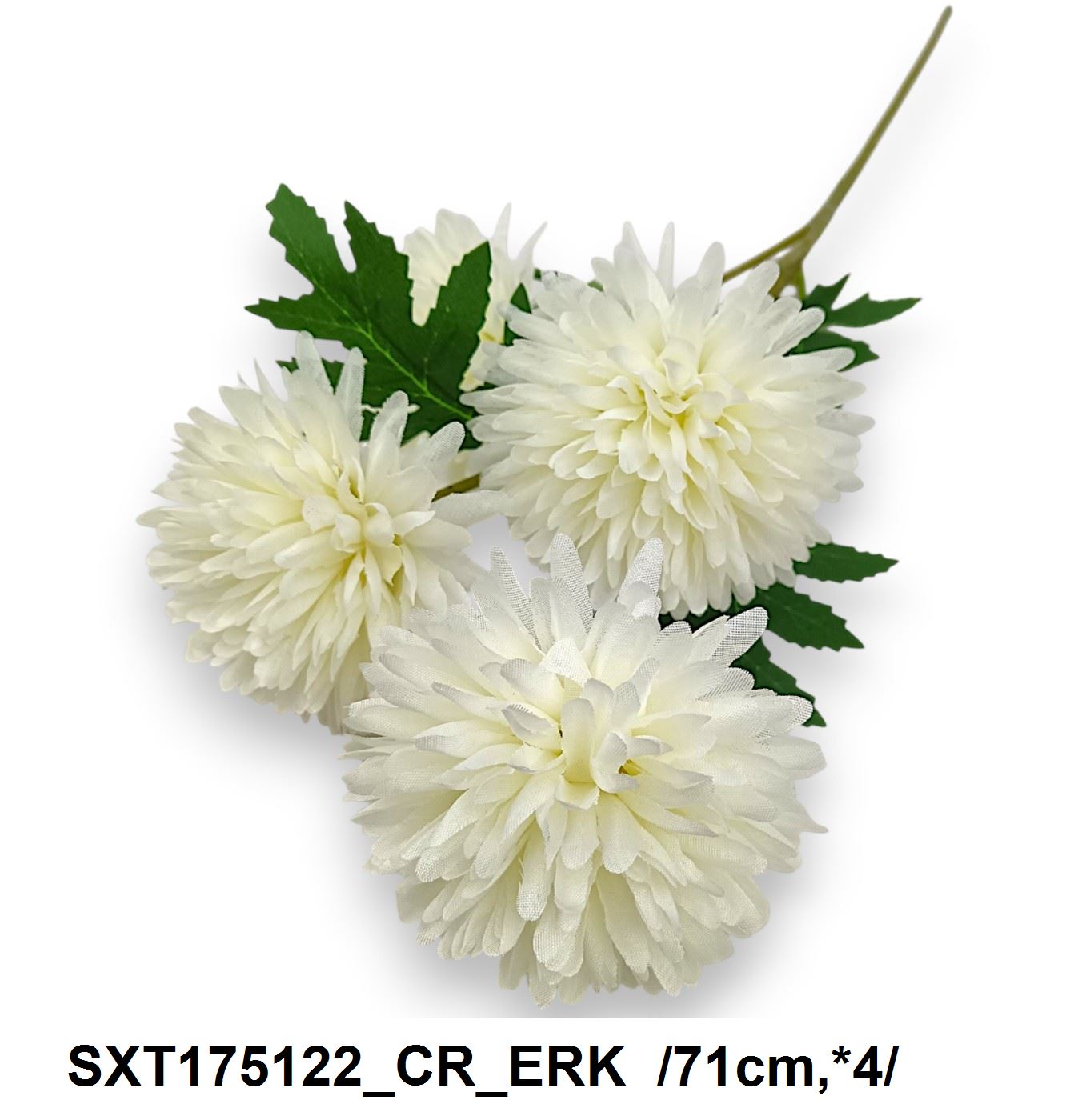 SXT175122_CR_ERK