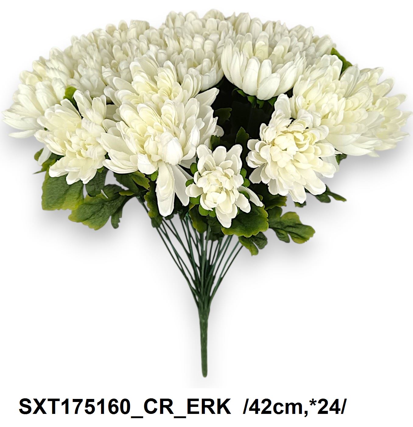 SXT175160_CR_ERK