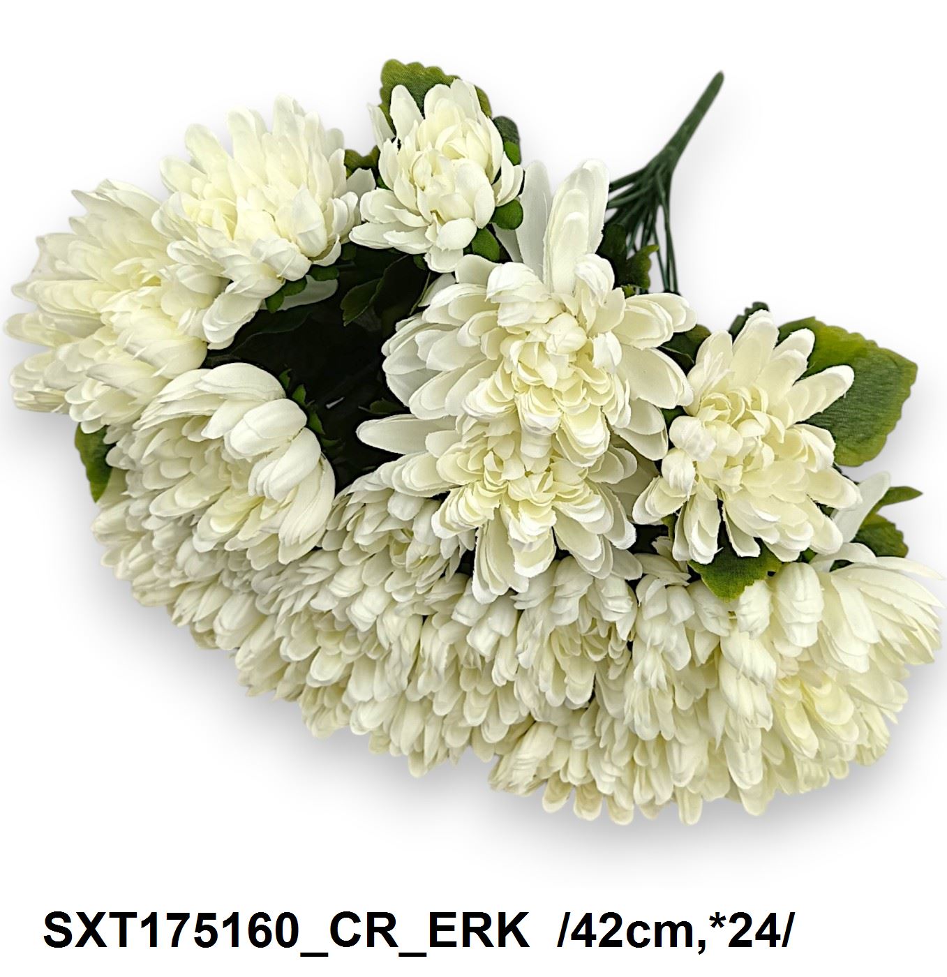 SXT175160_CR_ERK