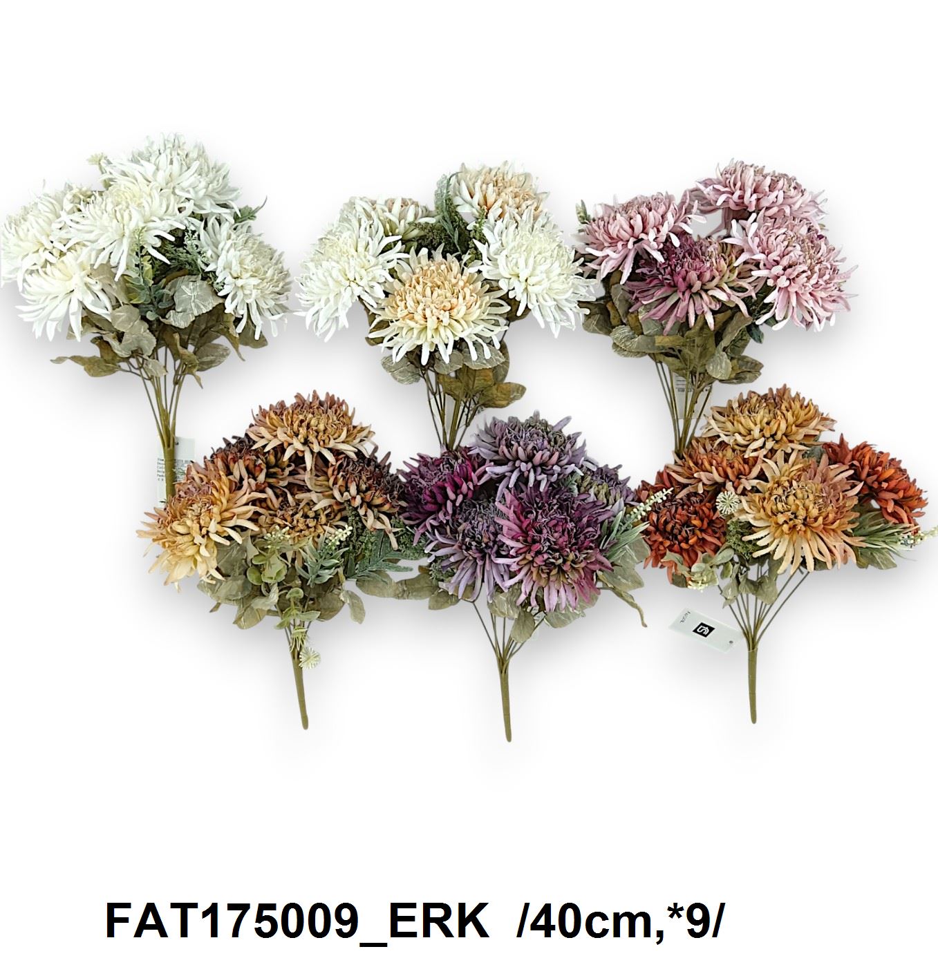 FAT175009_ERK