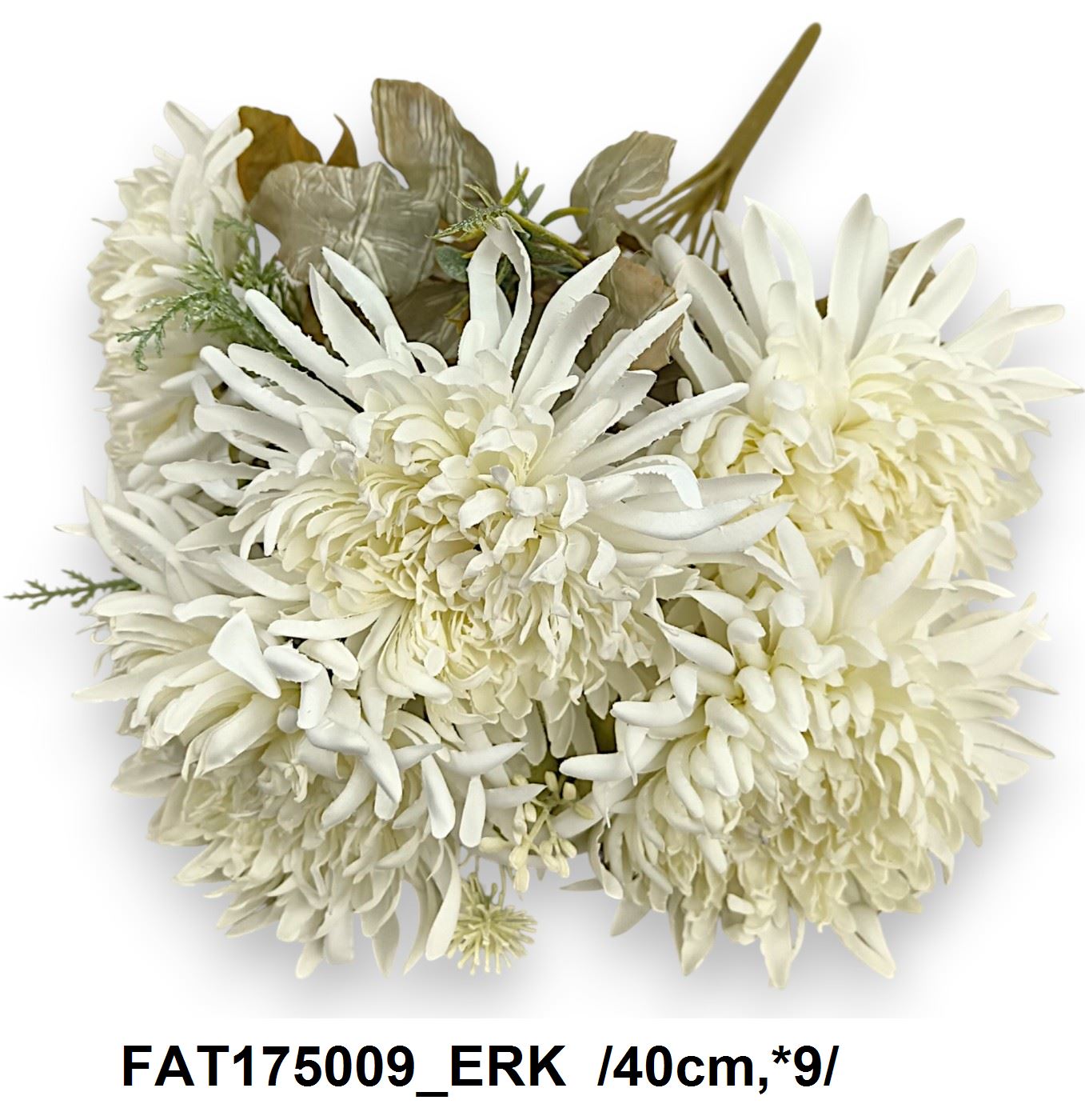 FAT175009_ERK
