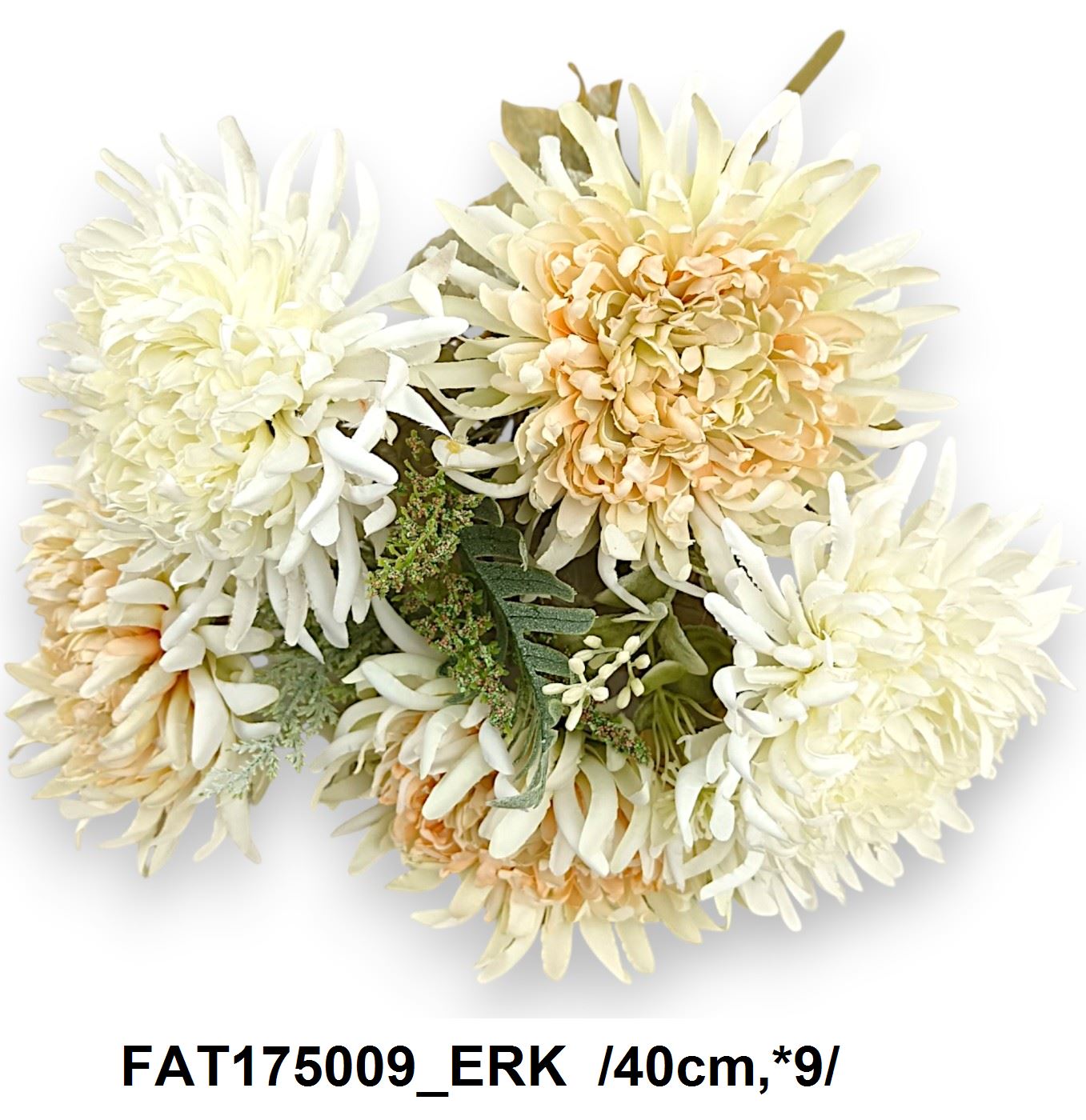 FAT175009_ERK