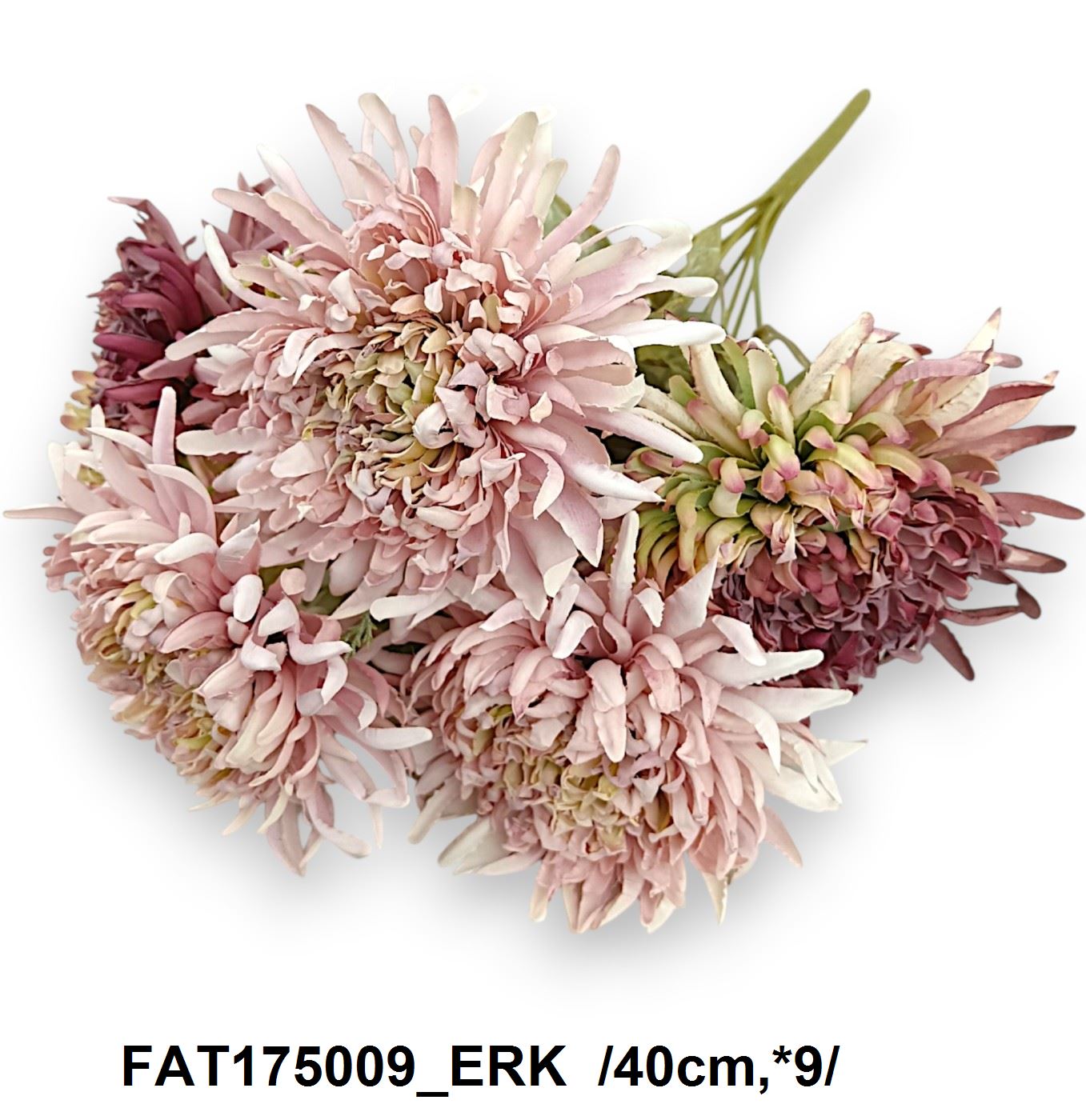 FAT175009_ERK