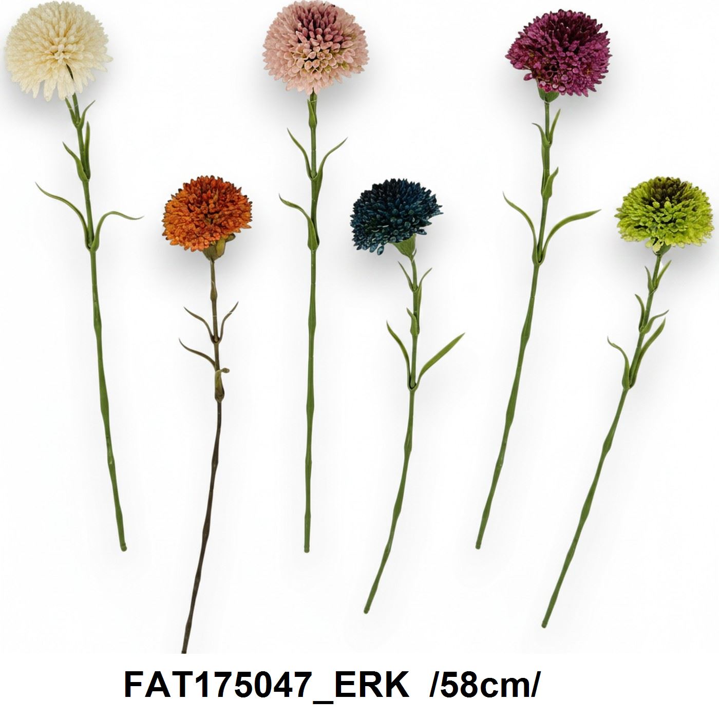 FAT175047_ERK