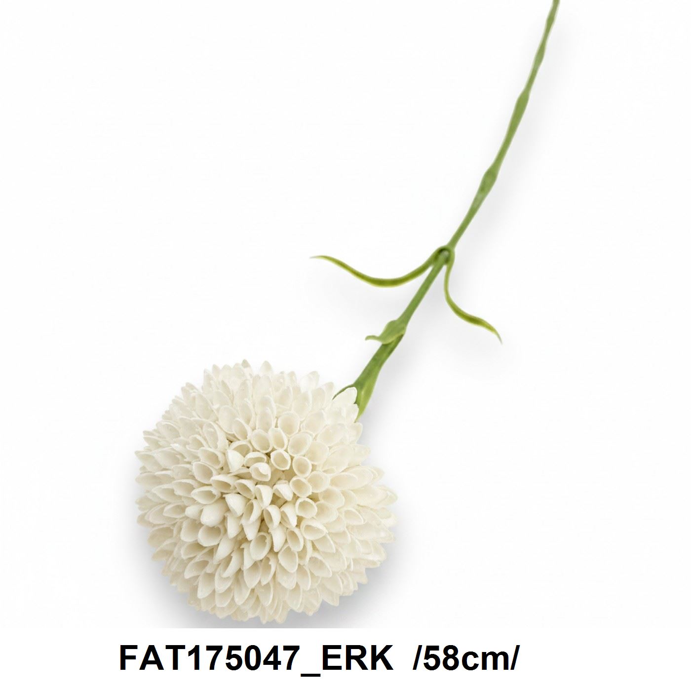 FAT175047_ERK