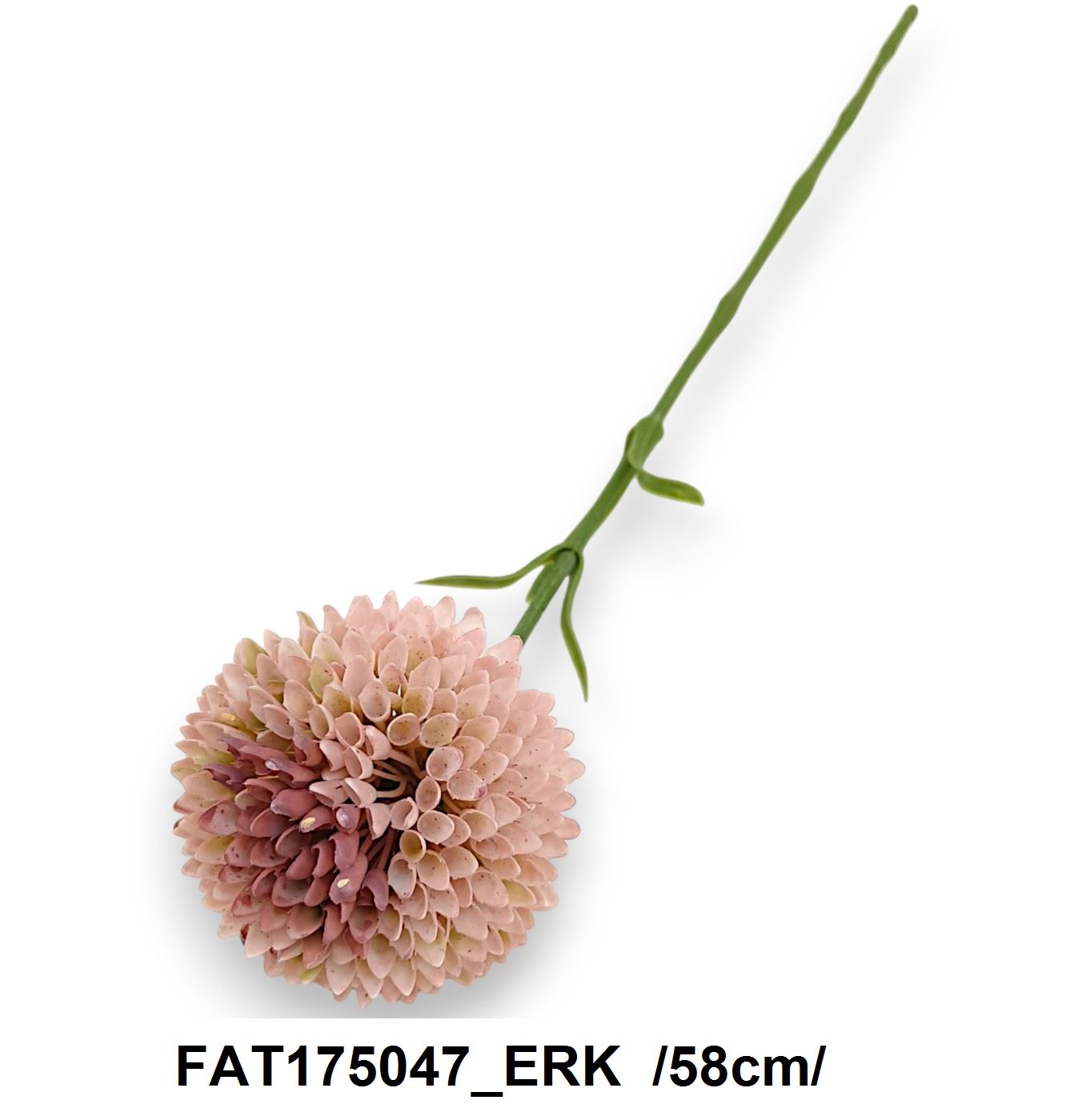 FAT175047_ERK