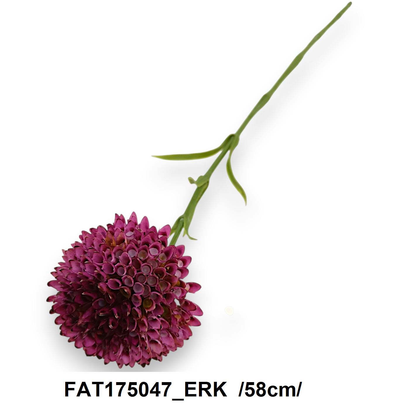FAT175047_ERK