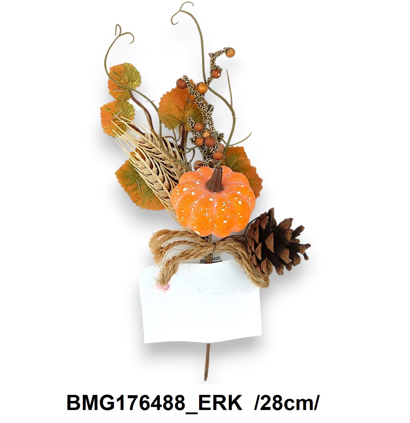 BMG176488_ERK