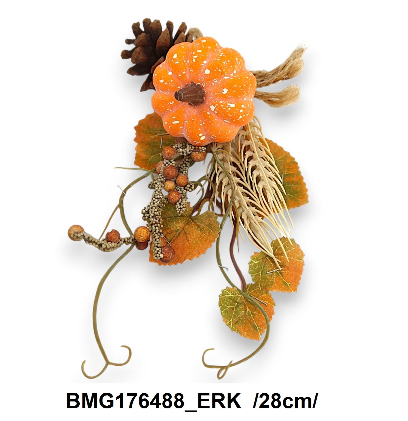 BMG176488_ERK
