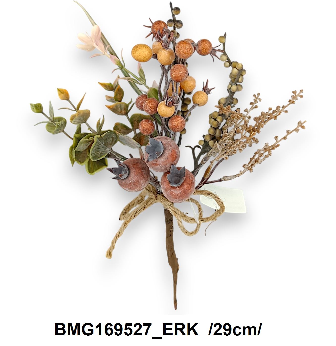 BMG169527_ERK
