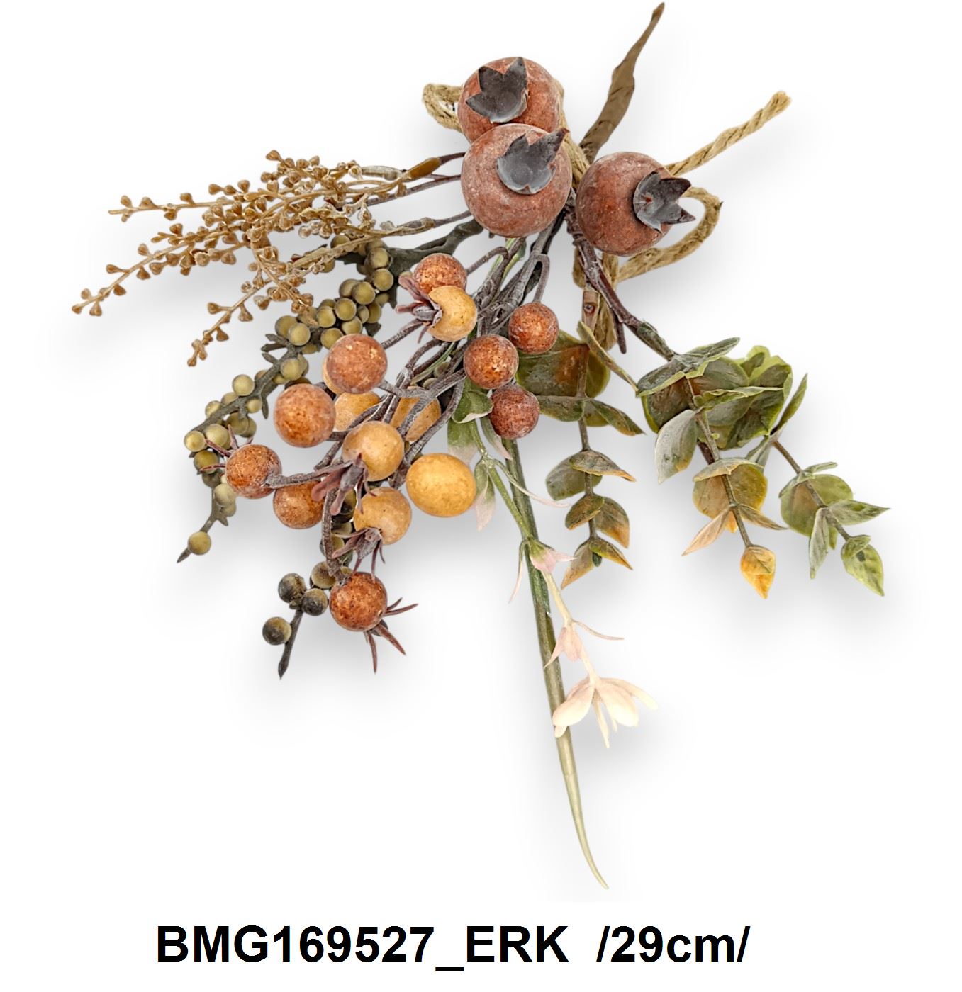 BMG169527_ERK