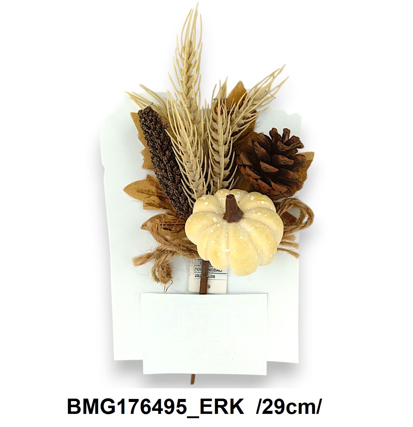 BMG176495_ERK