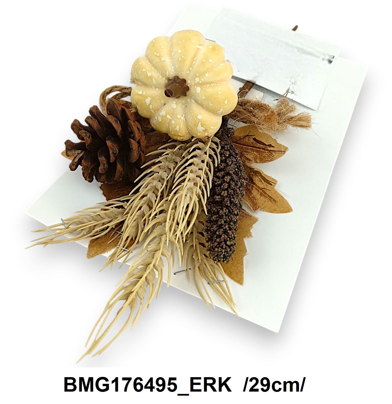 BMG176495_ERK