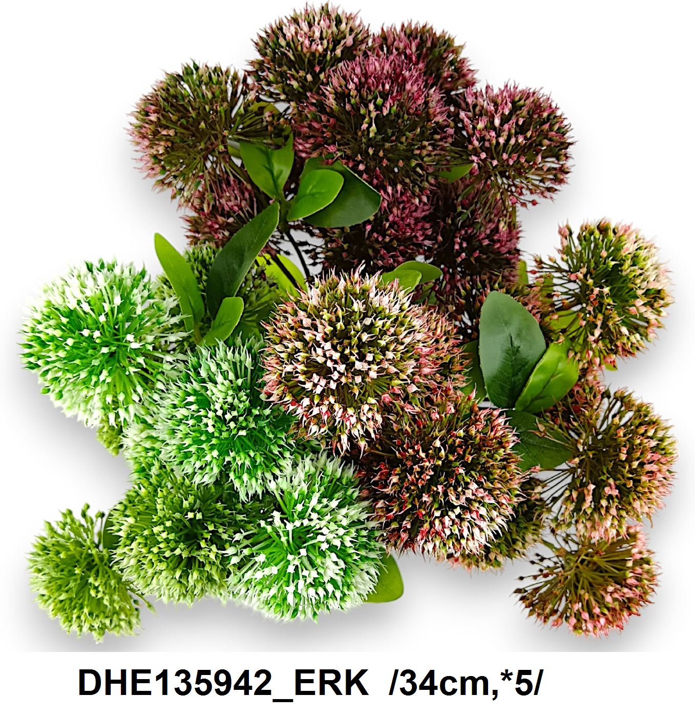 DHE135942_ERK