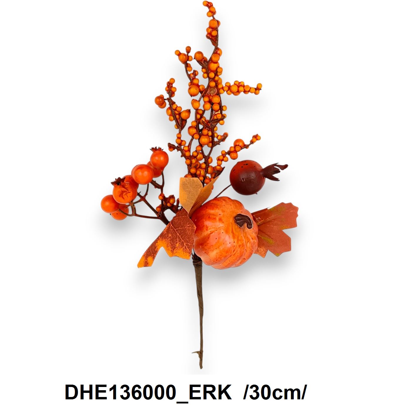 DHE136000_ERK