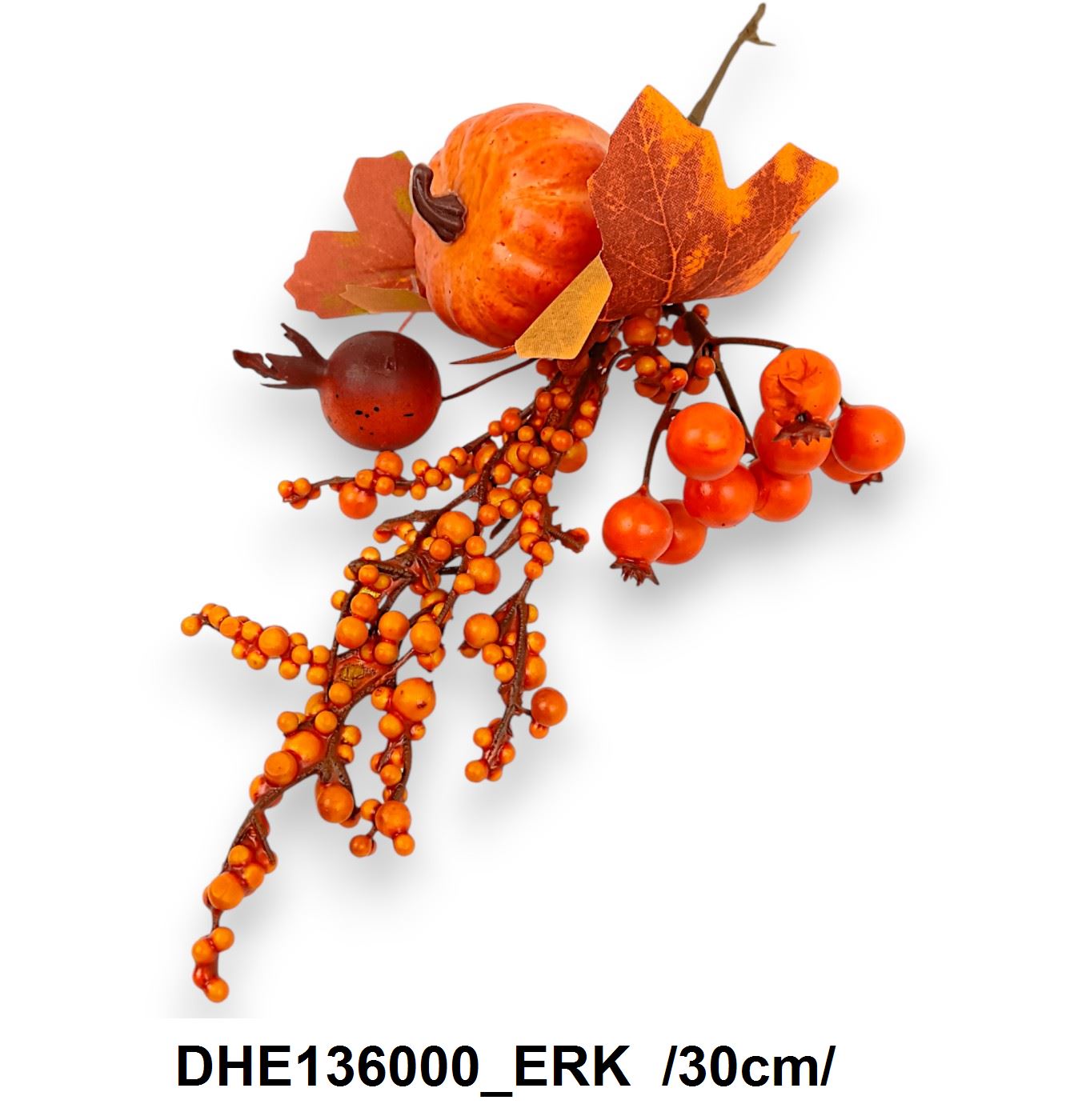 DHE136000_ERK