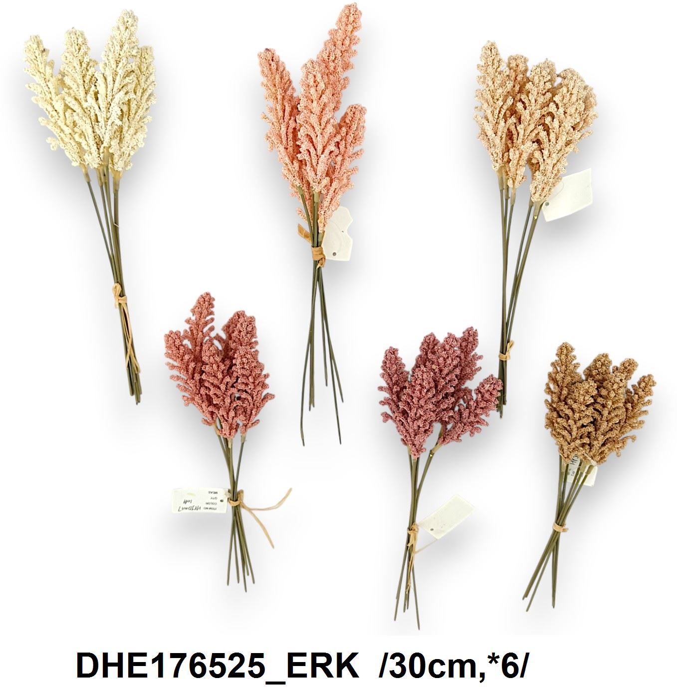 DHE176525_ERK