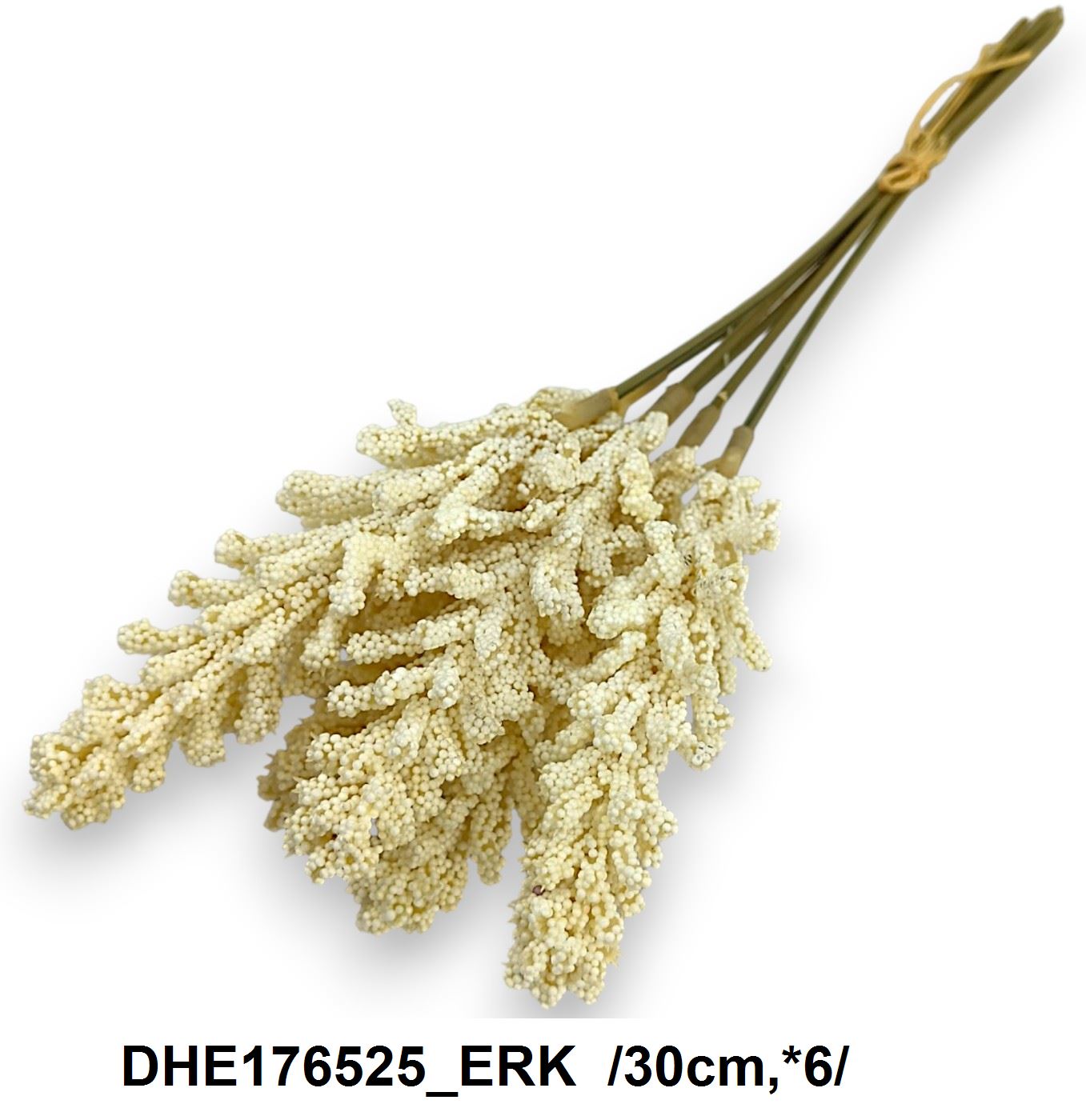 DHE176525_ERK