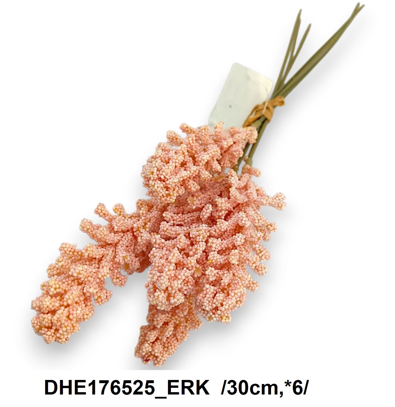 DHE176525_ERK