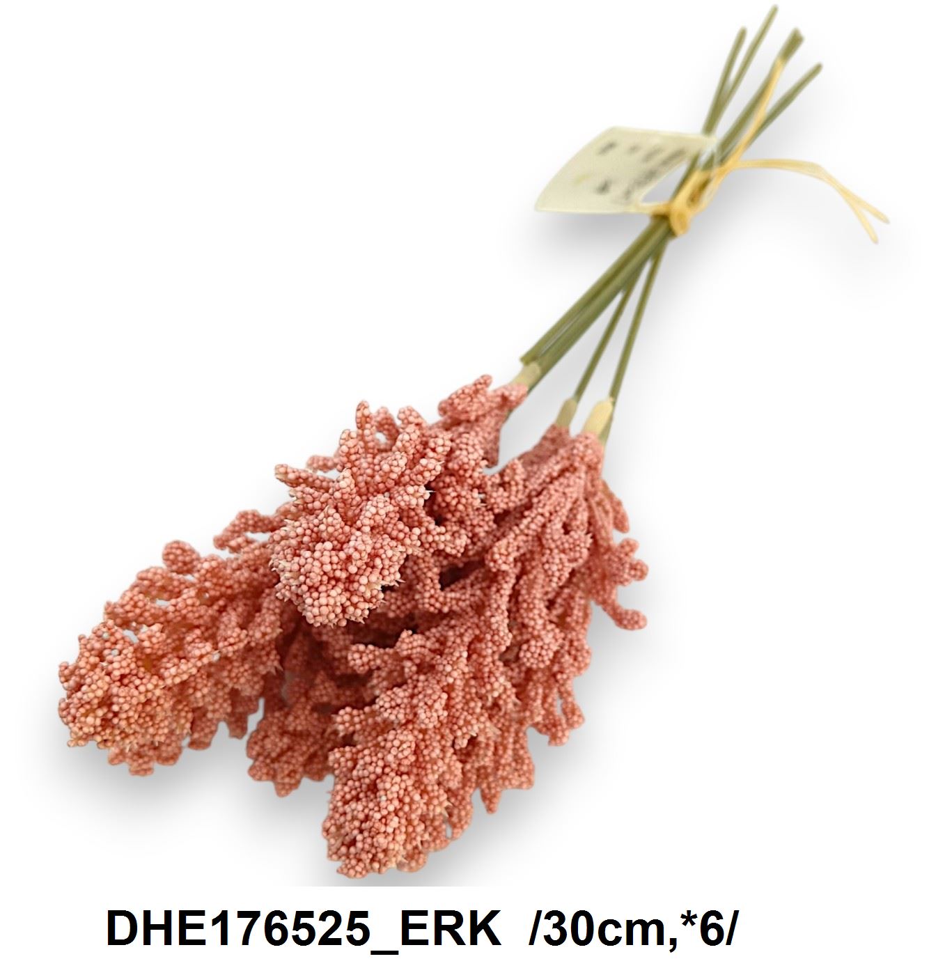 DHE176525_ERK
