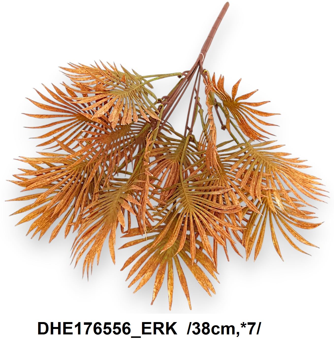 DHE176556_ERK
