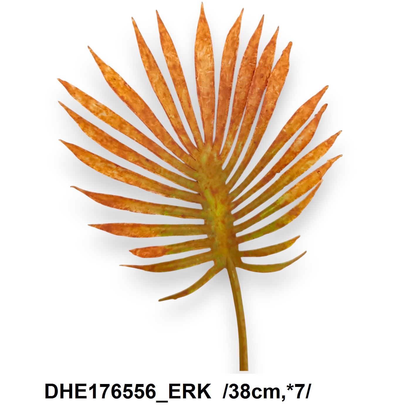 DHE176556_ERK