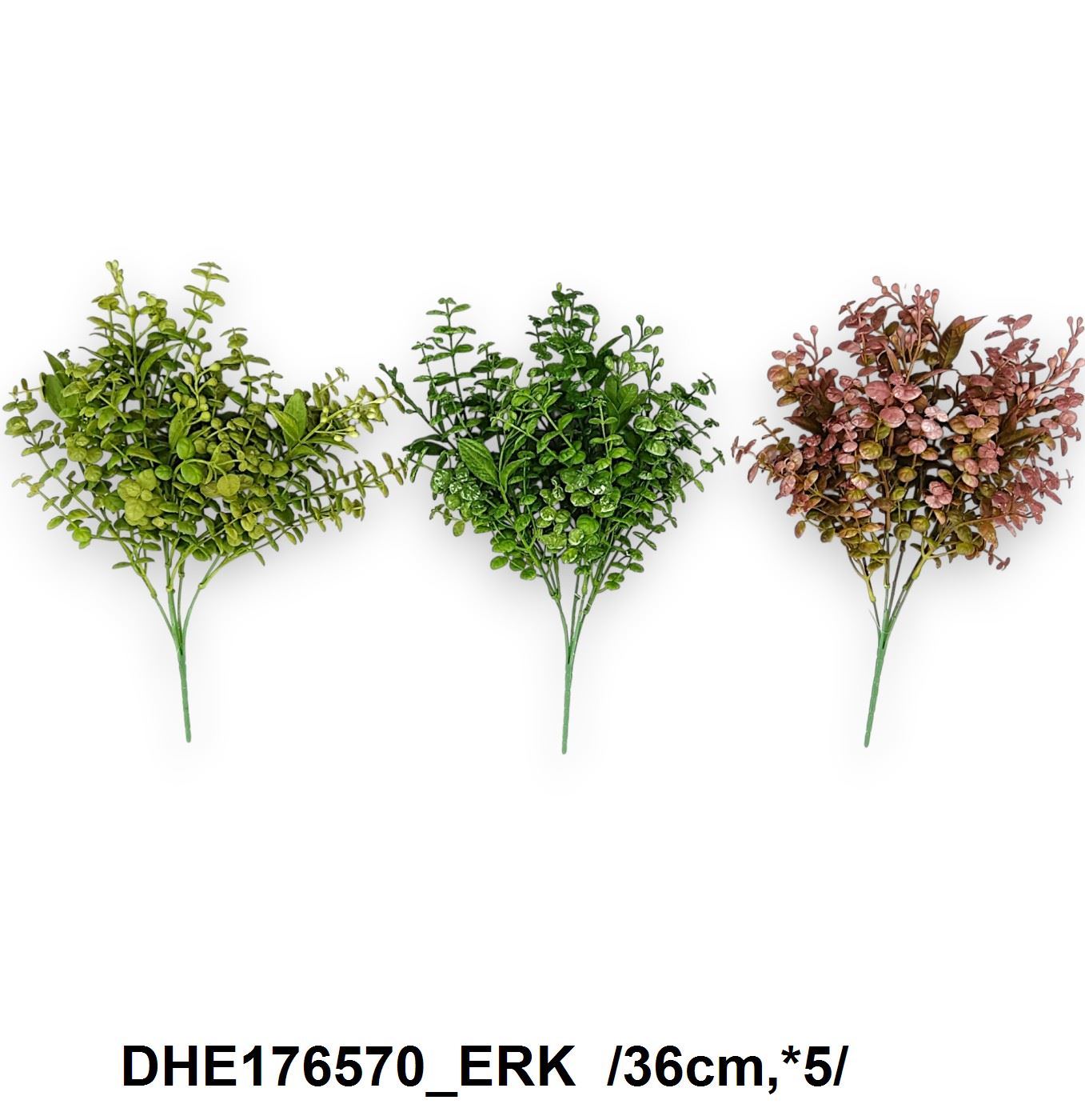 DHE176570_ERK