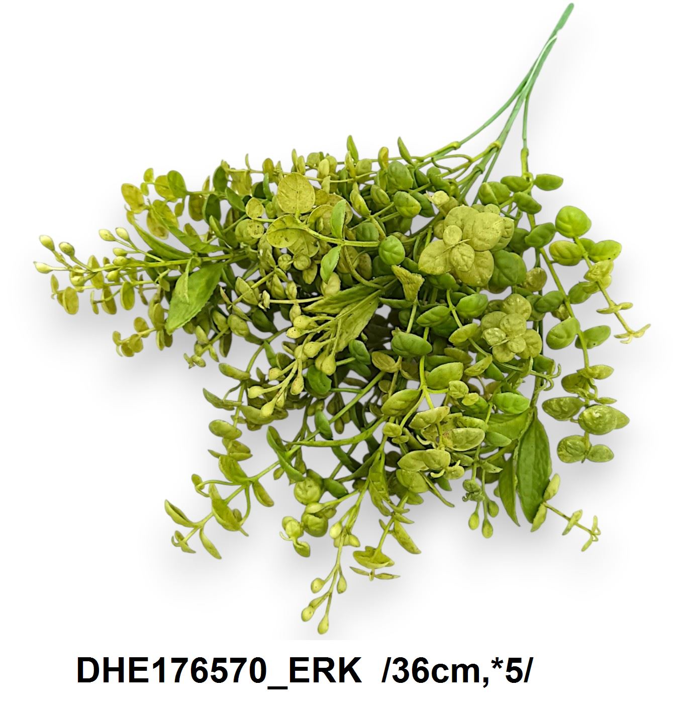 DHE176570_ERK