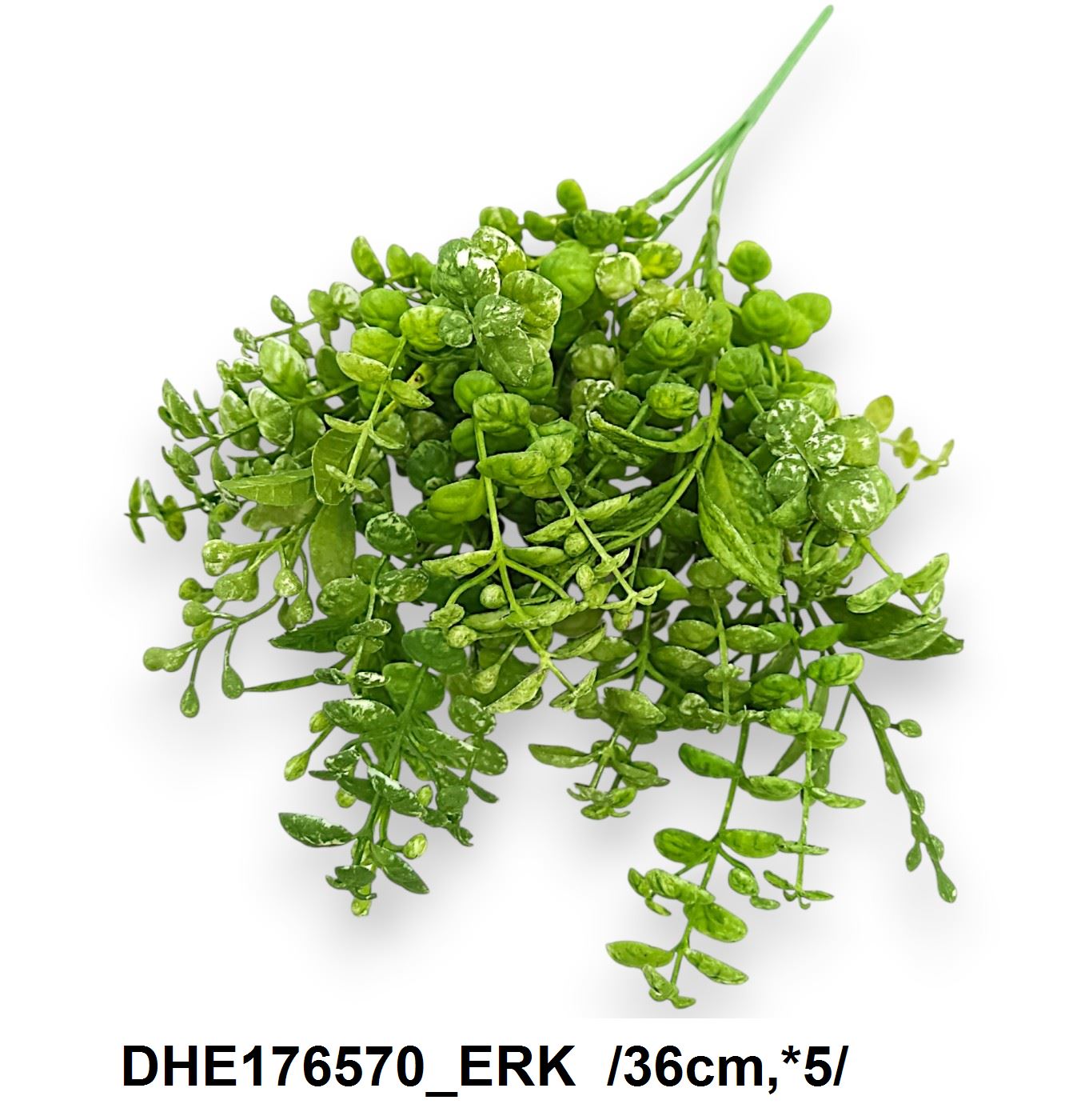 DHE176570_ERK