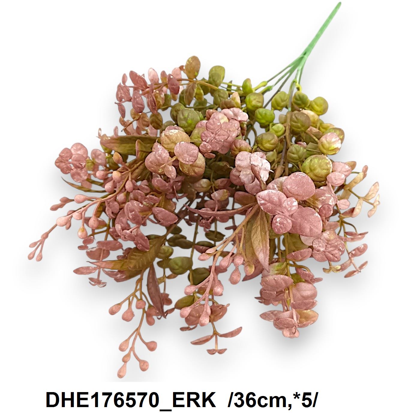 DHE176570_ERK