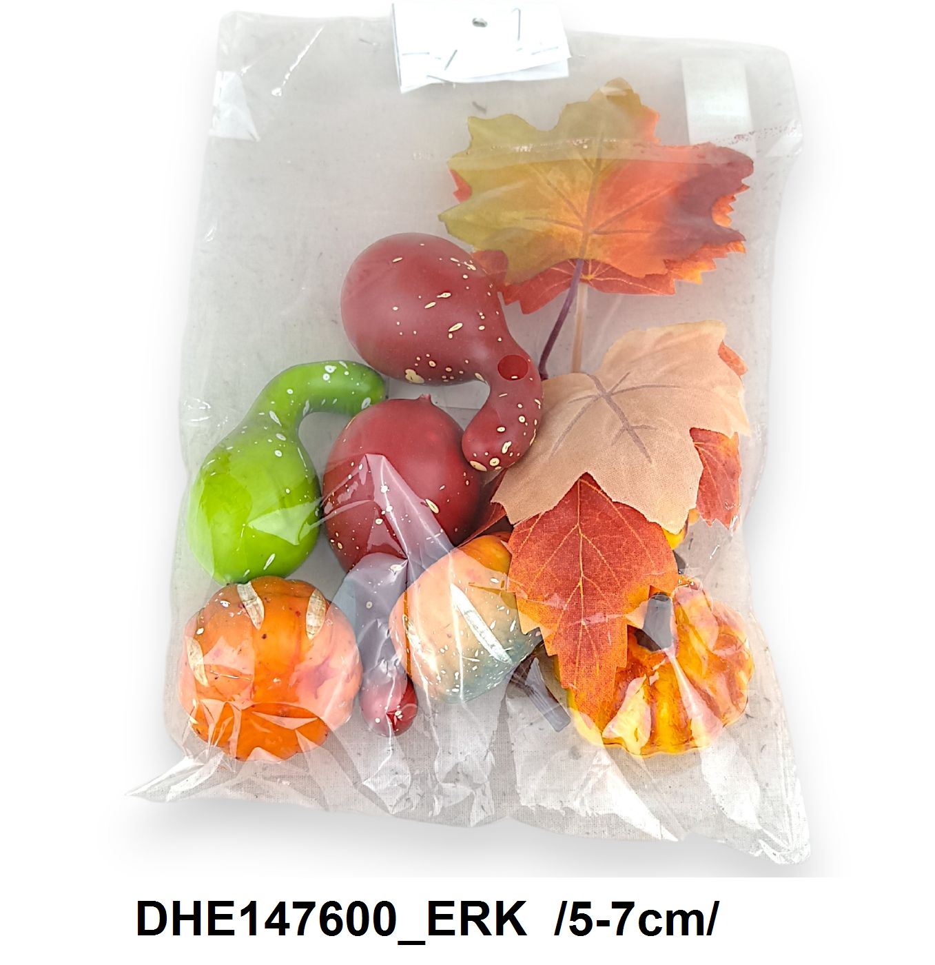 DHE147600_ERK