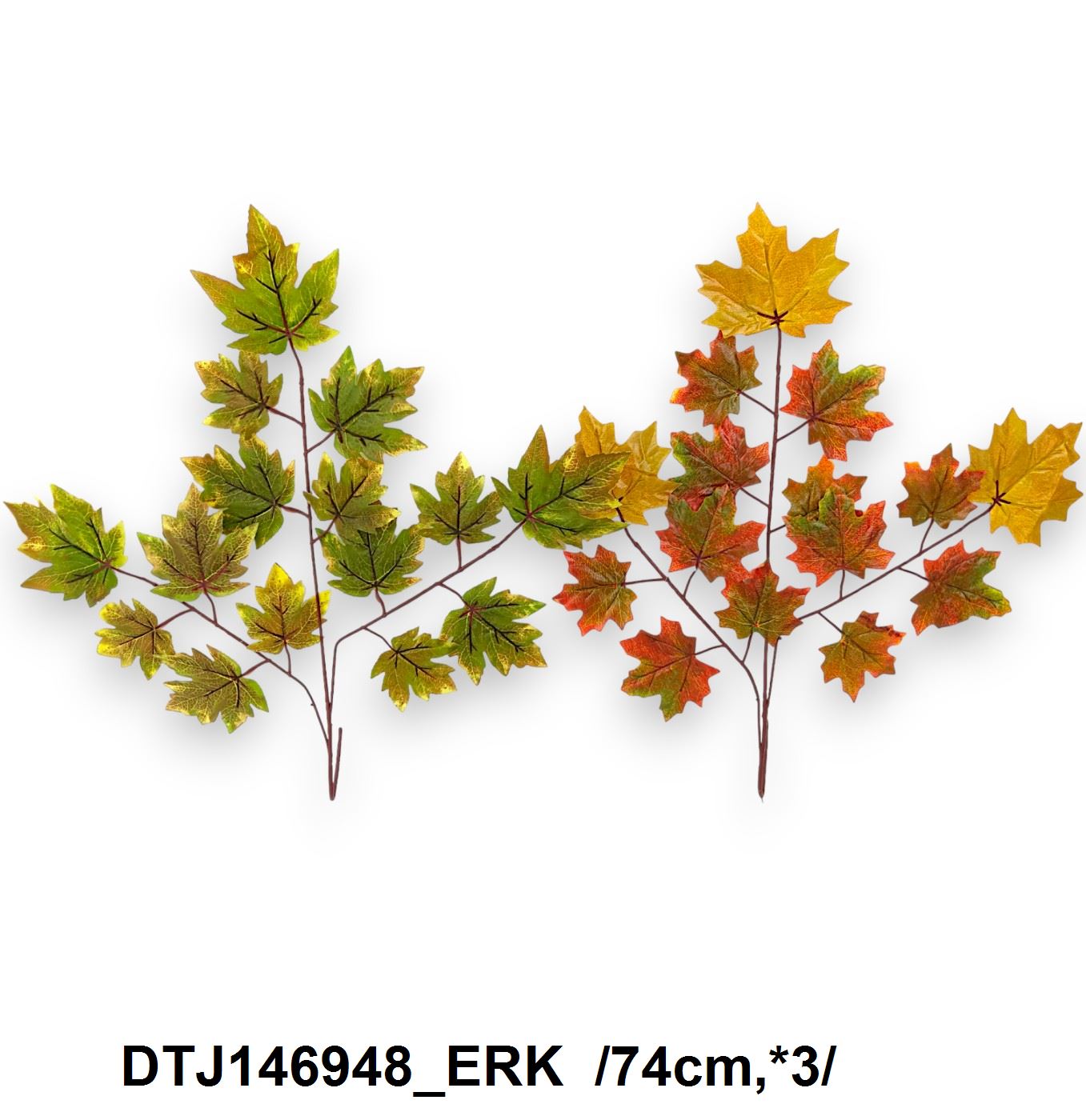 DTJ146948_ERK