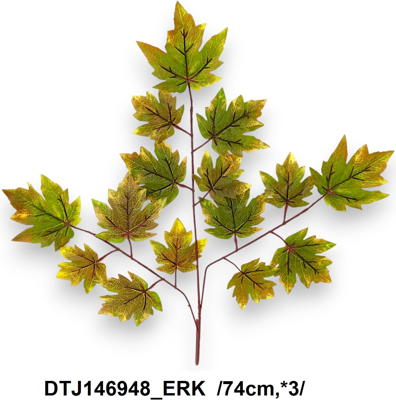 DTJ146948_ERK