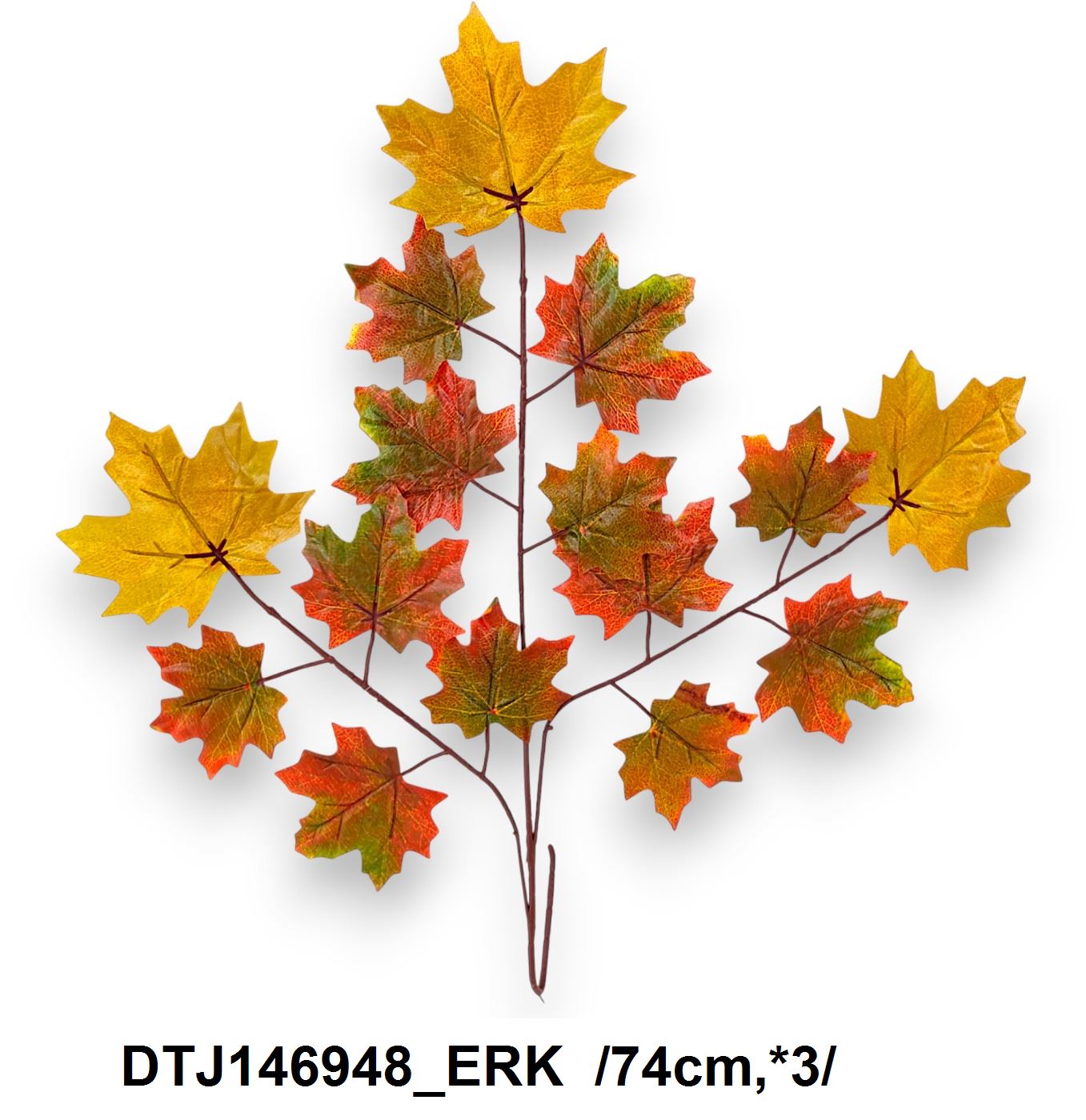 DTJ146948_ERK
