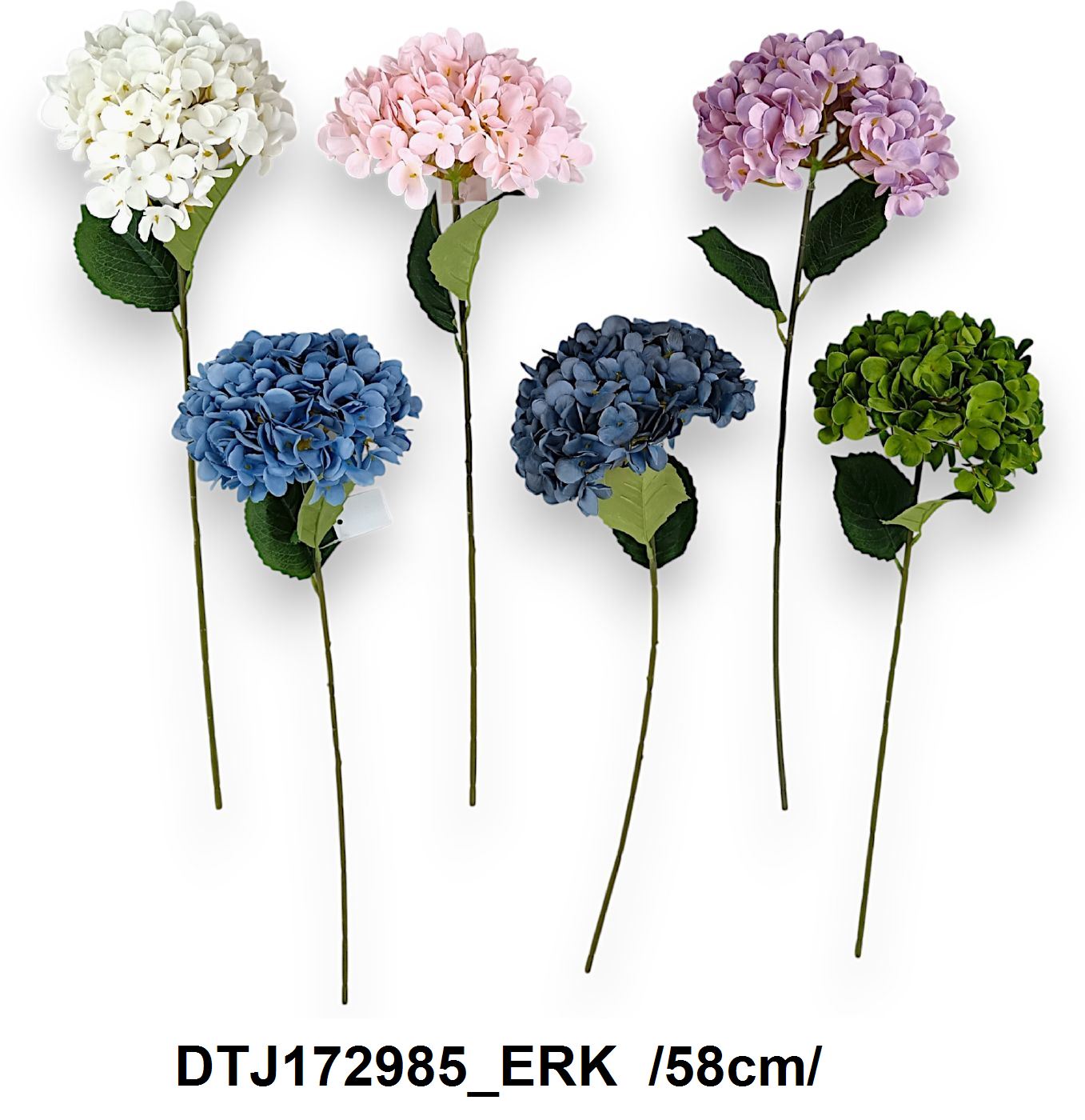 DTJ172985_ERK