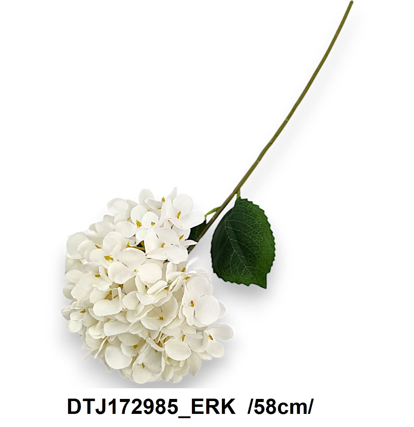 DTJ172985_ERK
