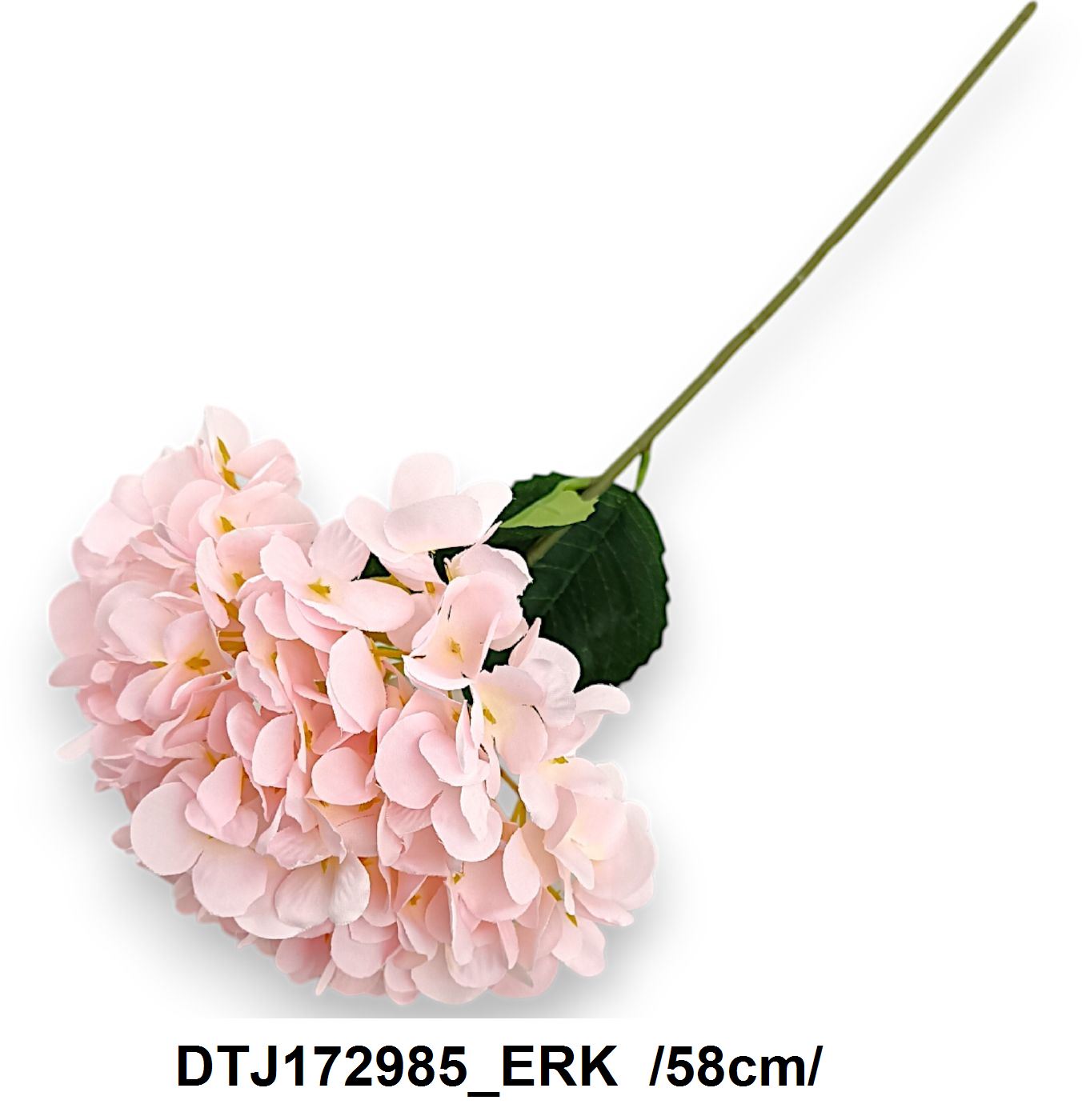 DTJ172985_ERK