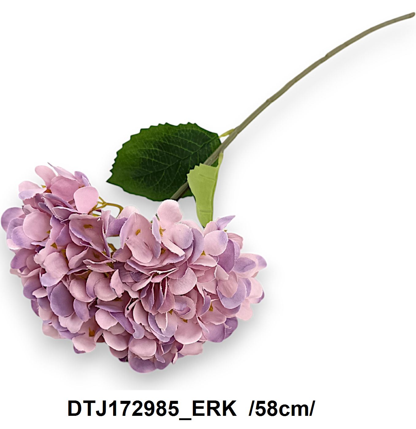 DTJ172985_ERK