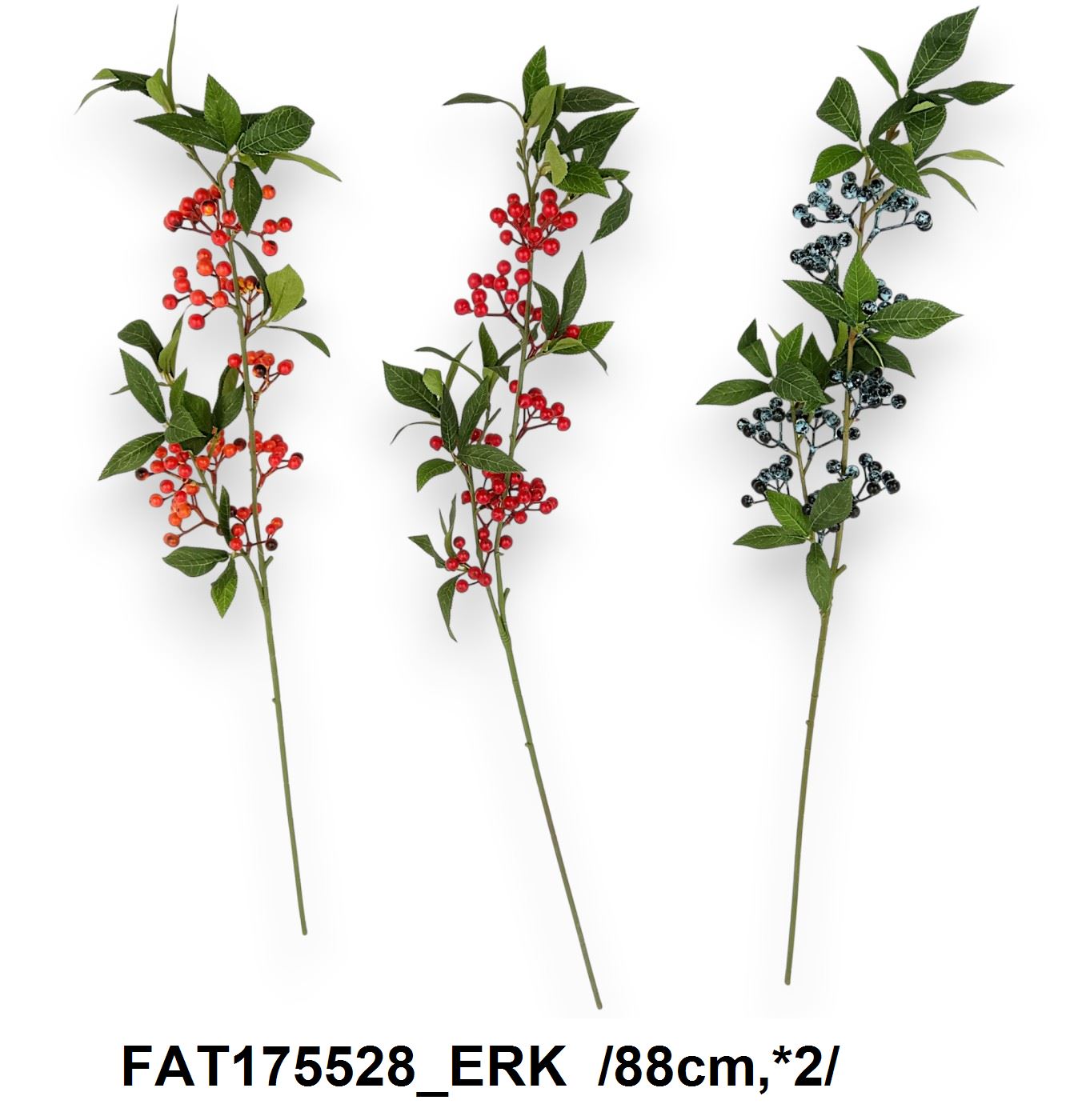 FAT175528_ERK