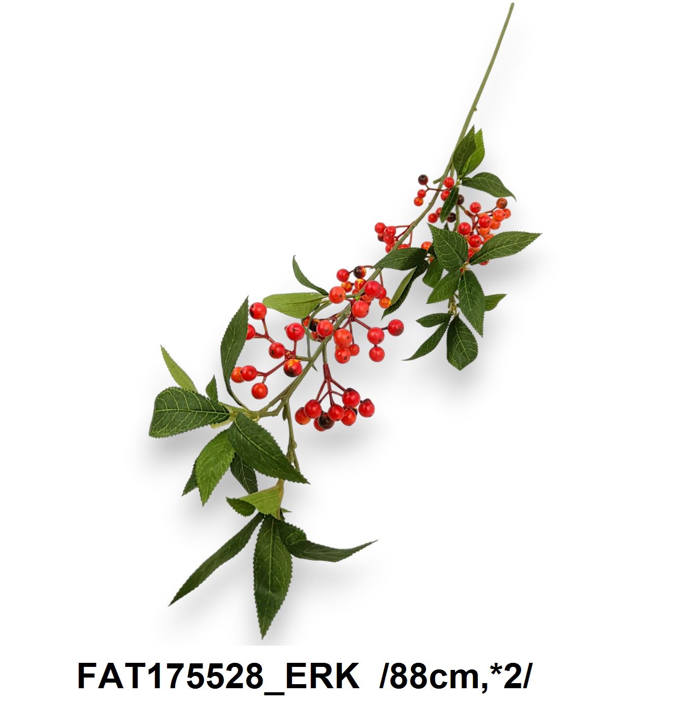 FAT175528_ERK