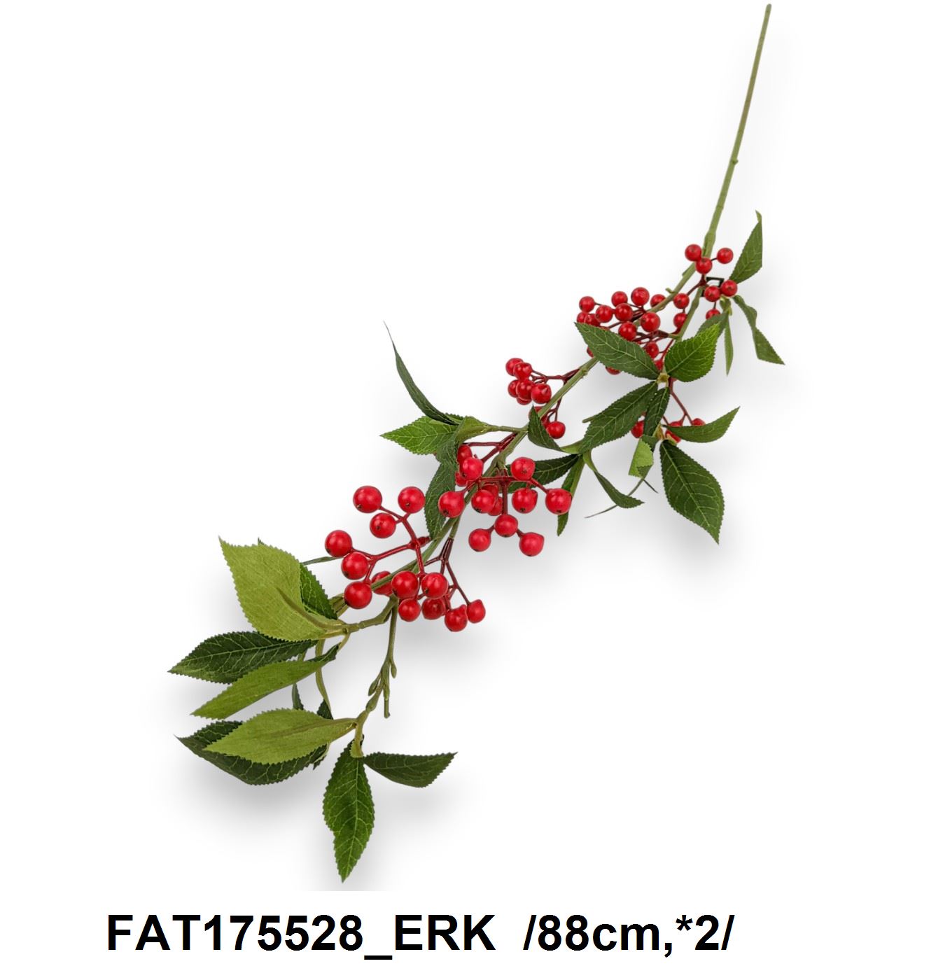 FAT175528_ERK